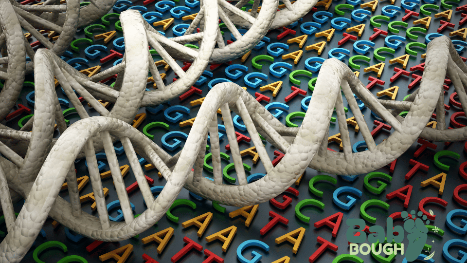 Genetic Screening: Discussing Options for Further Testing