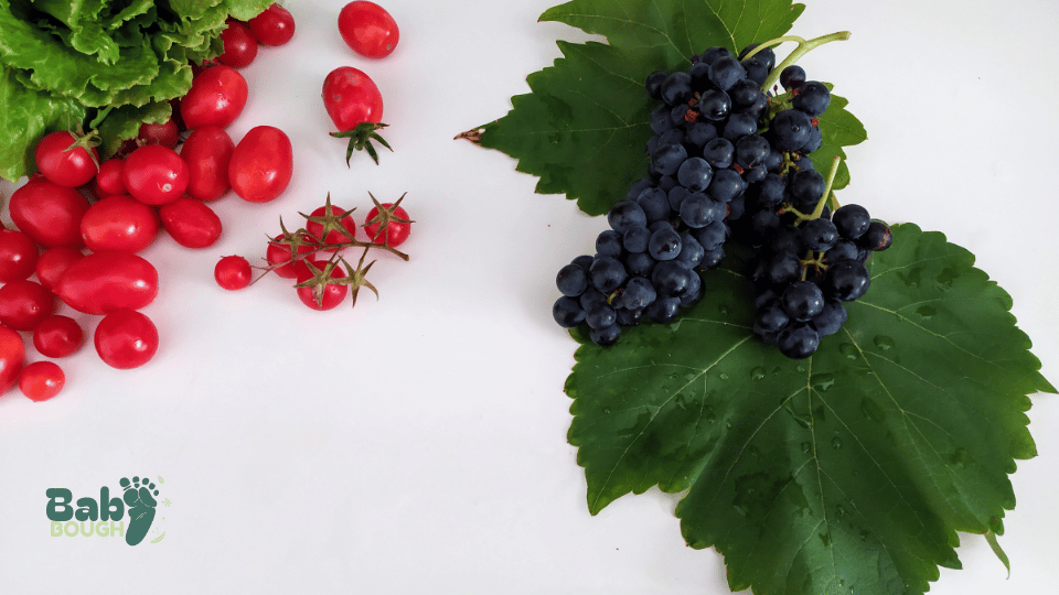 Grapes and Cherry Tomatoes