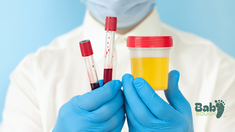 Types of Pregnancy Tests: Urine vs. Blood Tests