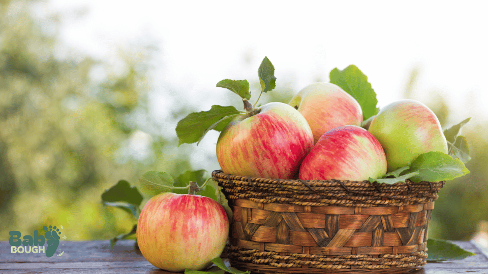 Whole Apples and Large Fruit Chunks