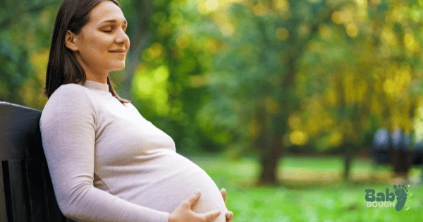 Pregnancy Pillow